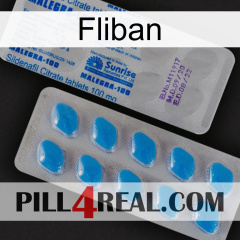 Fliban new15